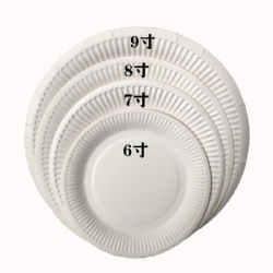 Round Disk