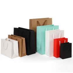 Paper Gift Bag