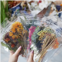 Large Flower & Plant Stickers